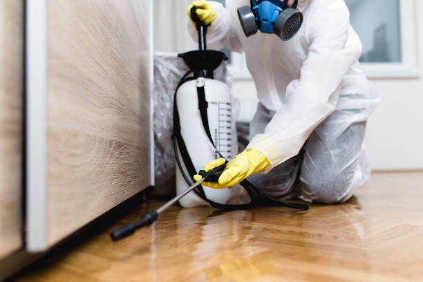 Best Affordable Pest Control Services  in College Station, TX