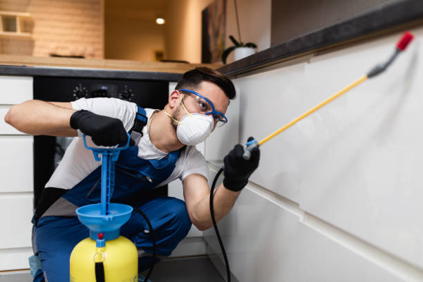 Best Emergency Pest Control  in College Station, TX