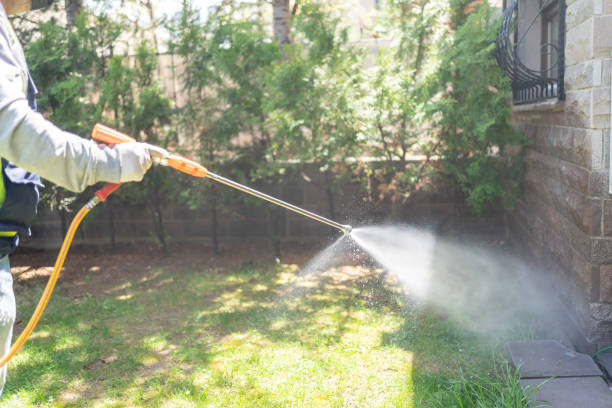 Best Local Pest Control Services  in College Station, TX