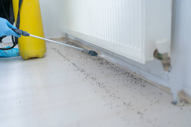 Best Wildlife Control Services  in College Station, TX