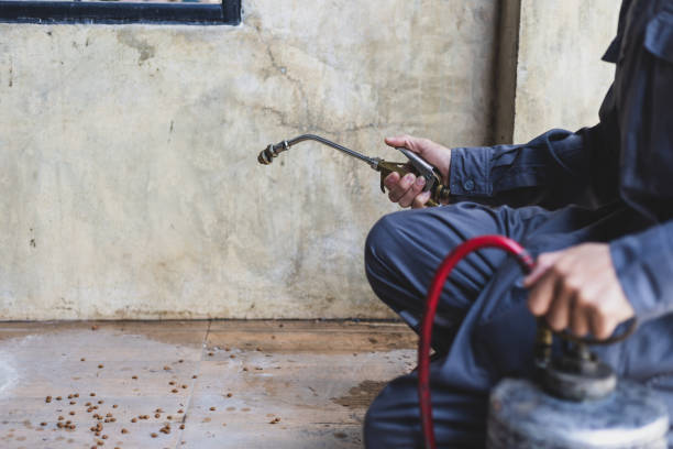 Best Pest Prevention Services  in College Station, TX